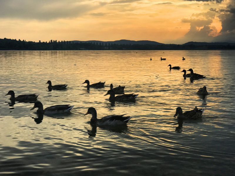 10 cose da vedere a Varese_ Lago di Varese