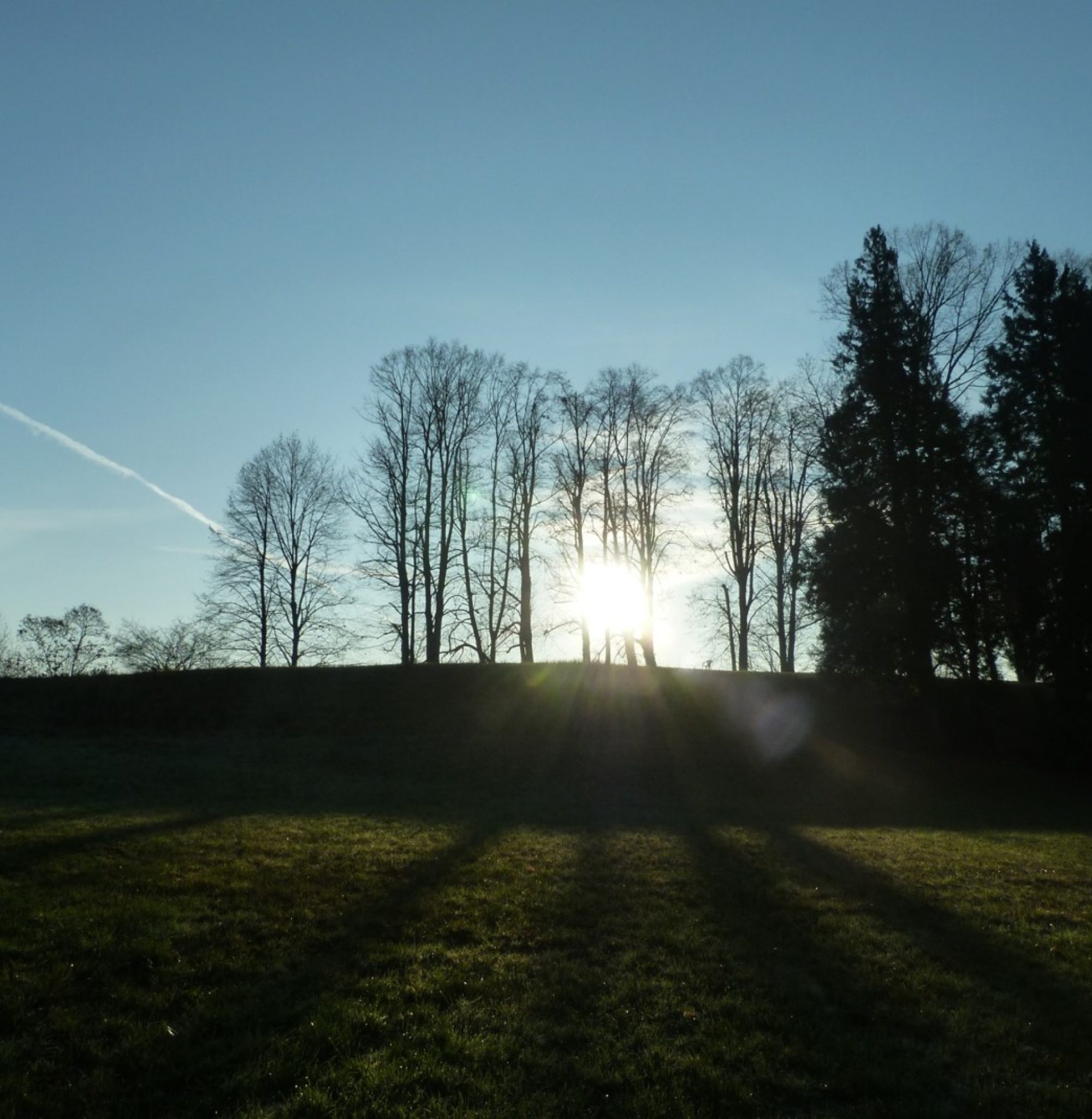 Parco di Villa Cagnola