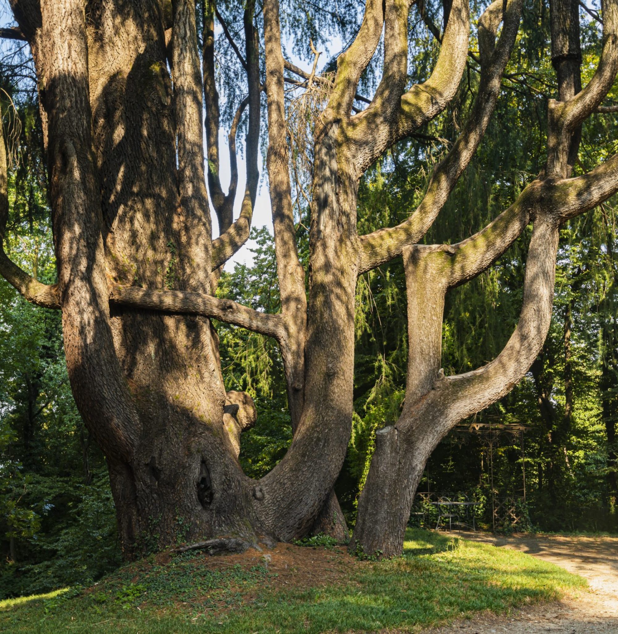 Parco di Villa Cagnola