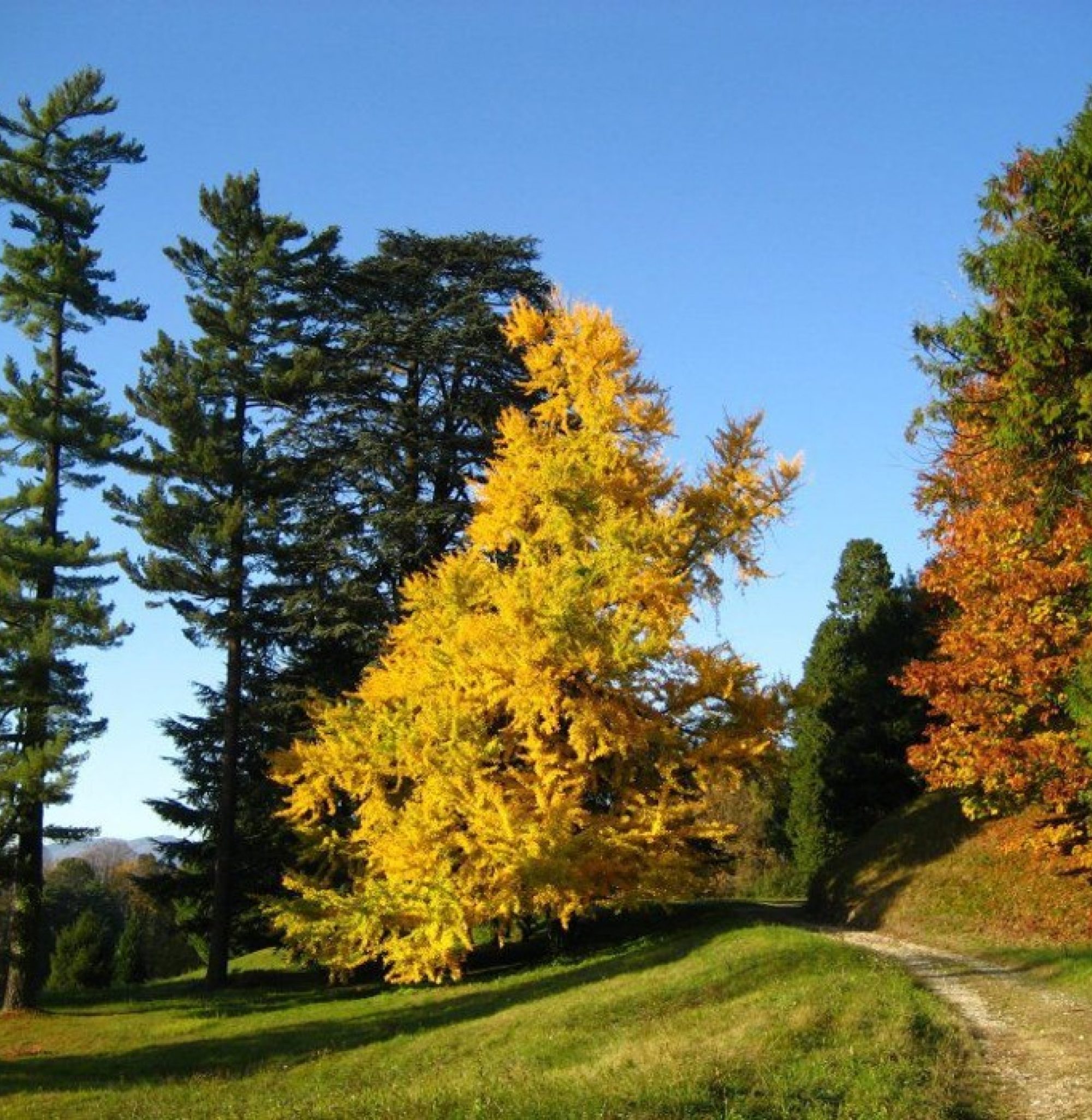 Parco di Villa Cagnola