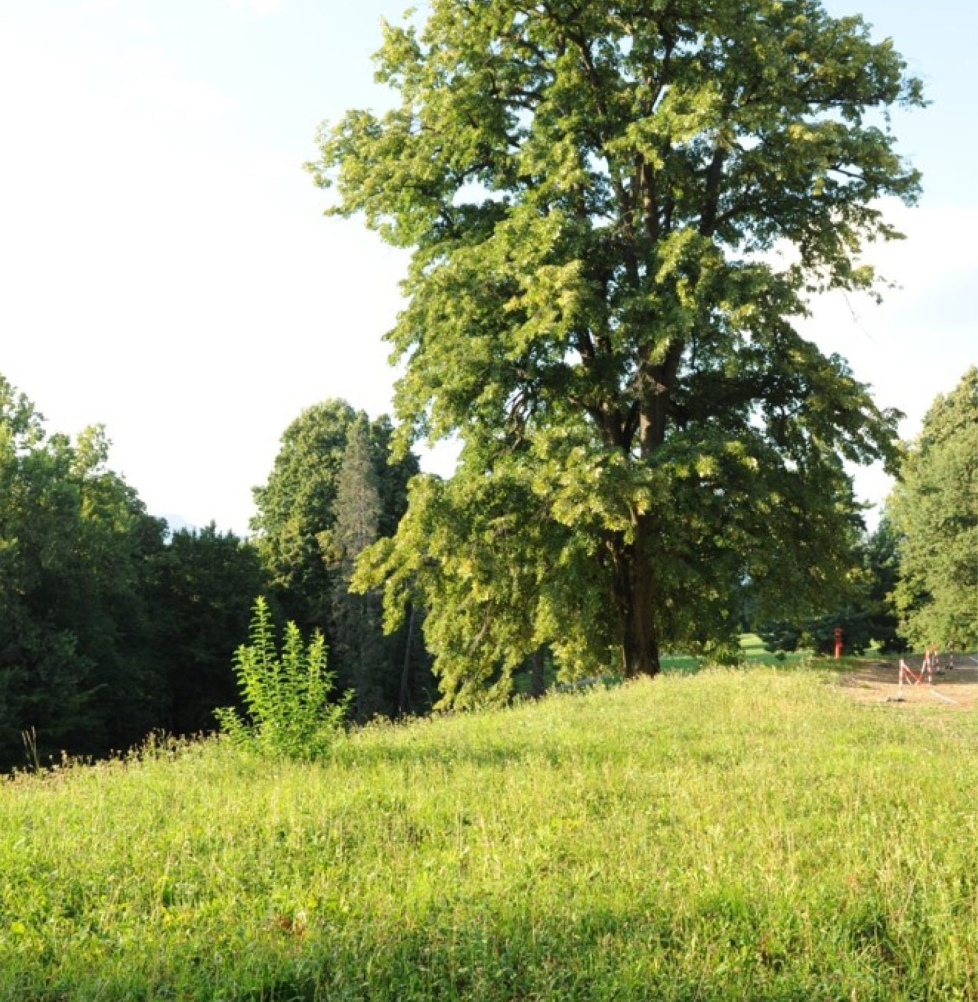 Parco di Villa Cagnola