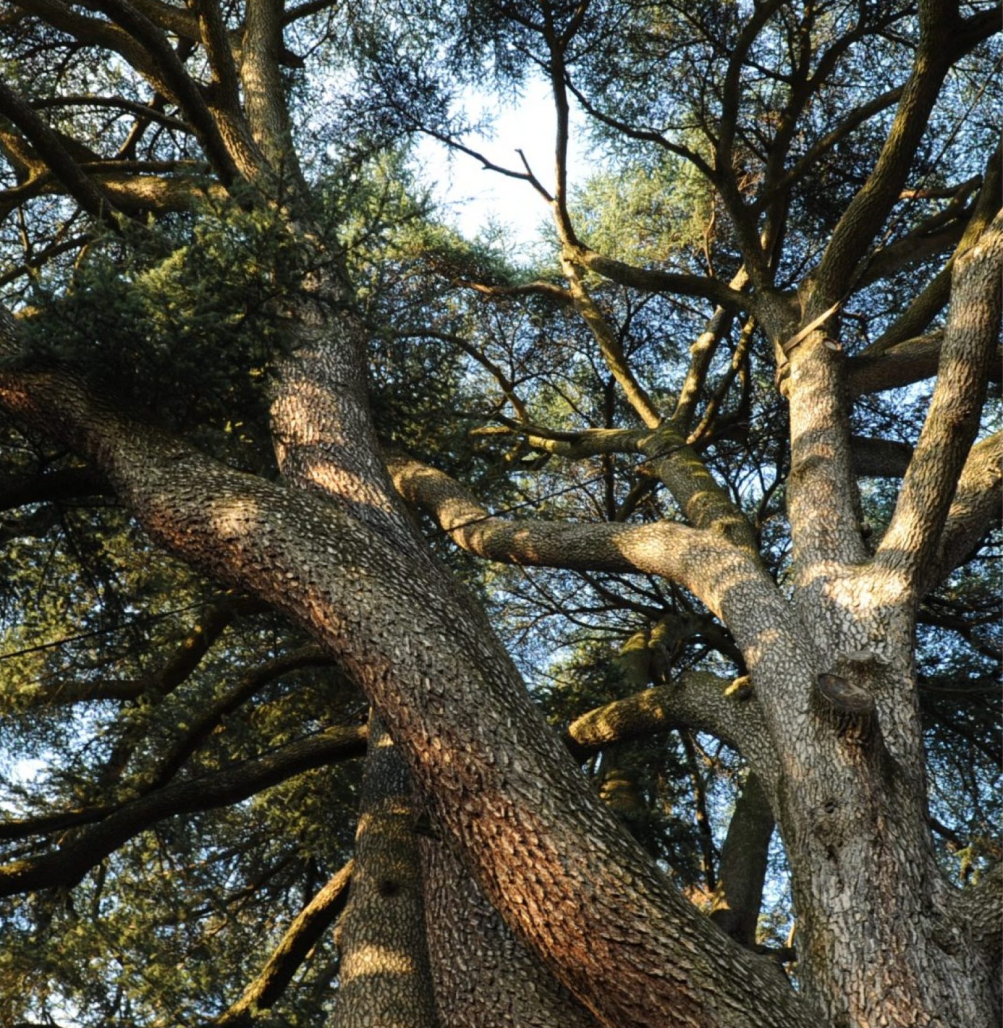 Parco di Villa Cagnola