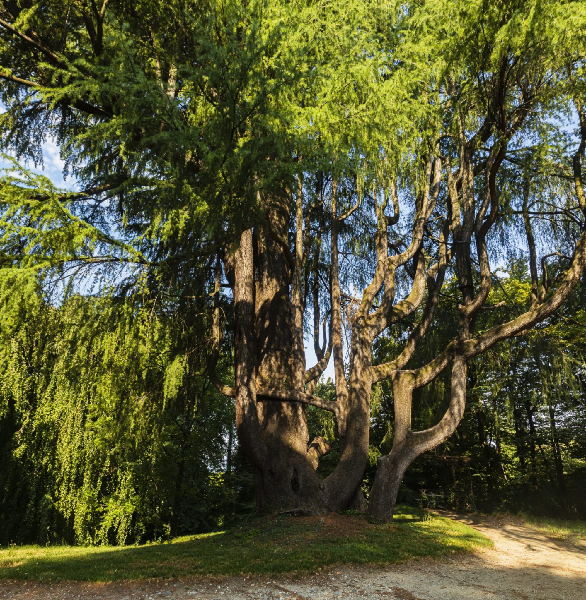 Parco di Villa Cagnola