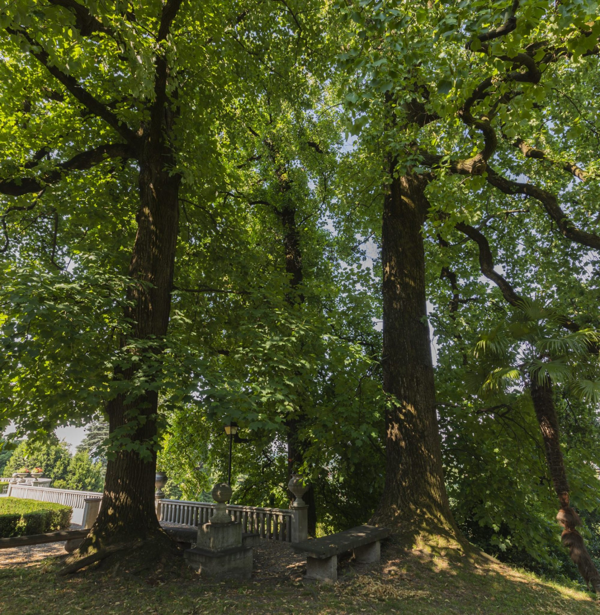 Parco di Villa Cagnola