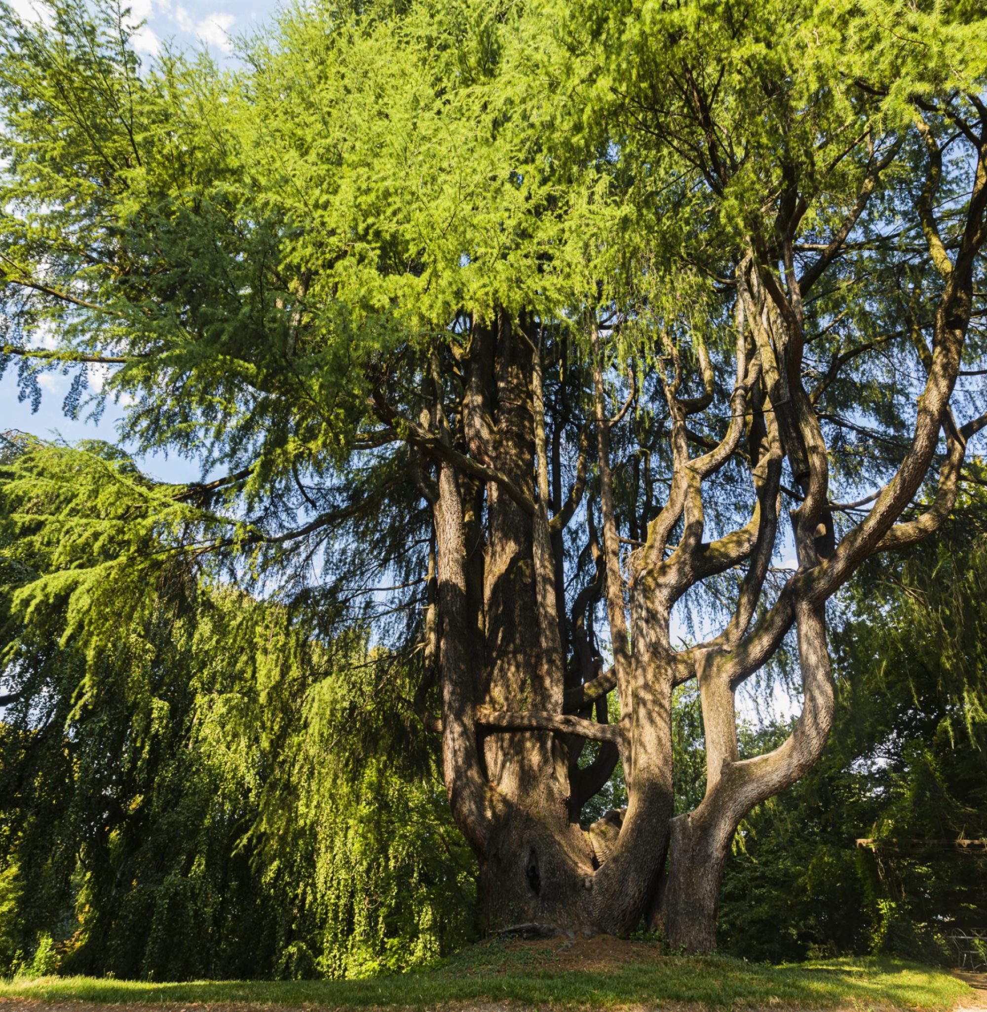 Parco di Villa Cagnola